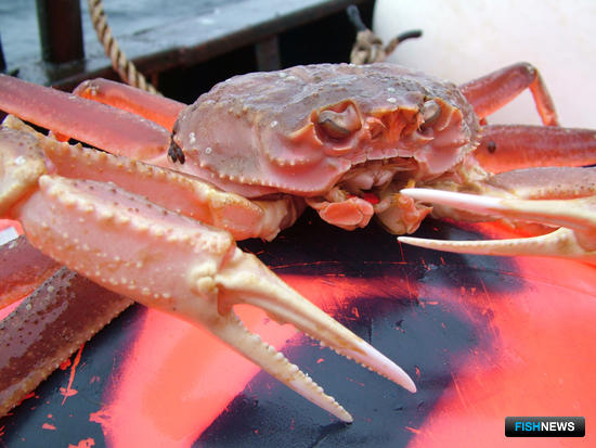 США оценили рыбный импорт из России