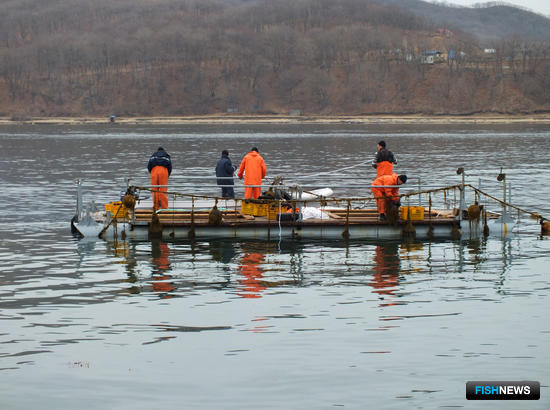 Минсельхоз перевыпустит важный документ для аквакультуры