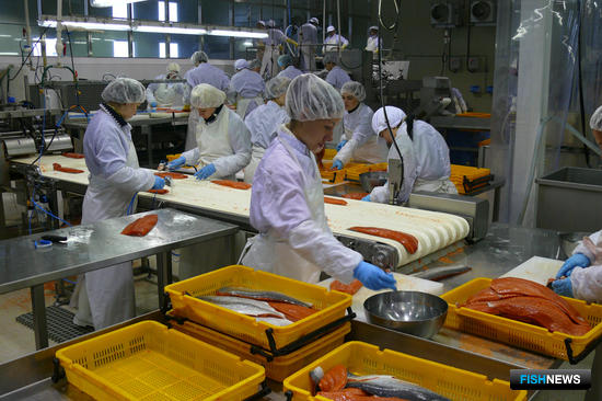 Современные предприятия есть, но кадров не хватает Современные предприятия есть, но кадров не хватает