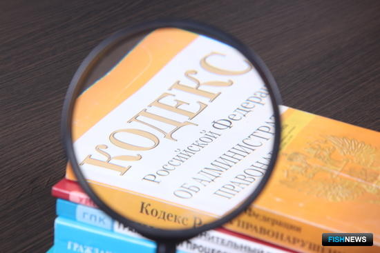 Михаила Мишустина попросят изменить график подготовки нового КоАП