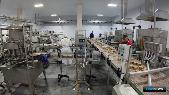 Власти Камчатки представили итоги развития отрасли за 2019 год