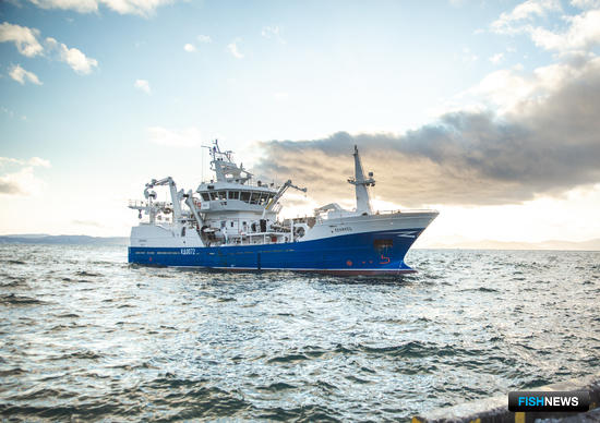 Власти Камчатки представили итоги развития отрасли за 2019 год