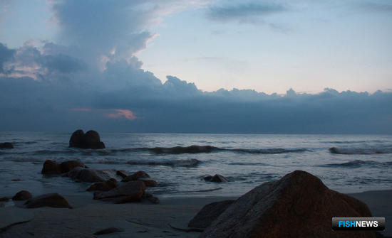 Малазийские воды хотят закрыть для браконьеров из Вьетнама