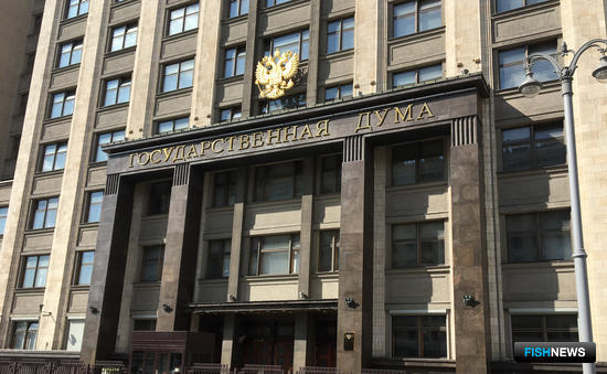 Аукционы не помогут рыбакам выполнить поручения президента