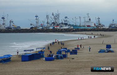 Эквадор улучшает &laquo;рыбное&raquo; законодательство