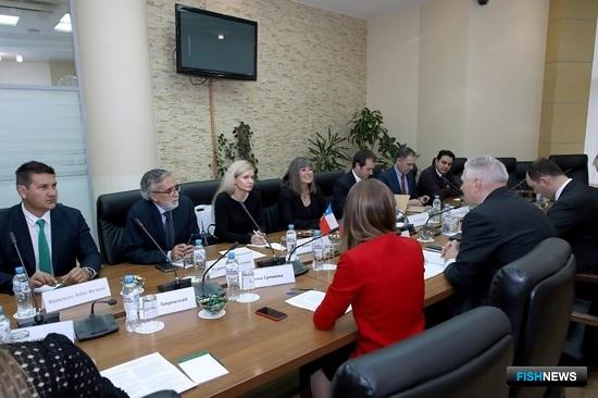 Россия ждет от Чили усиления контроля за экспортной рыбой