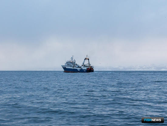 В КТМ внесли изменения по плановым проверкам рыбаков В КТМ внесли изменения по плановым проверкам рыбаков