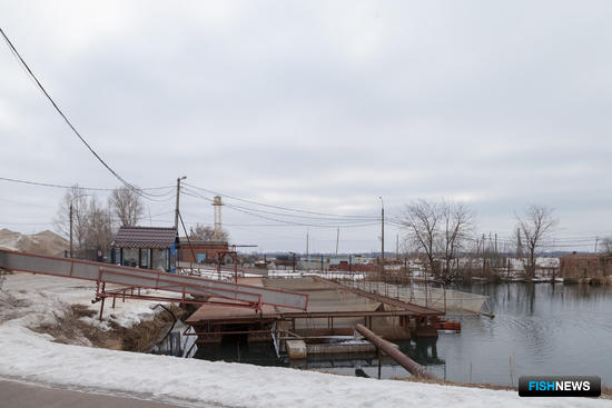 К западу от Урала паводок ожидается ранним и слабым К западу от Урала паводок ожидается ранним и слабым