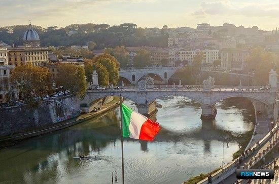 Коронавирус перекрыл рыбе дороги в Рим