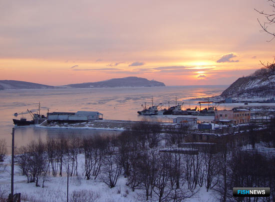 В Приморье собираются упразднить рыбохозяйственный совет В Приморье собираются упразднить рыбохозяйственный совет