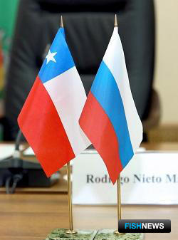 Чилийскую рыбу обещали меньше кормить антибиотиками Чилийскую рыбу обещали меньше кормить антибиотиками