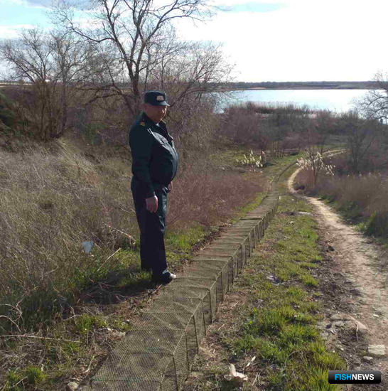 Браконьерская мегаловушка установила рекорд