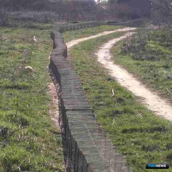 Браконьерская мегаловушка установила рекорд