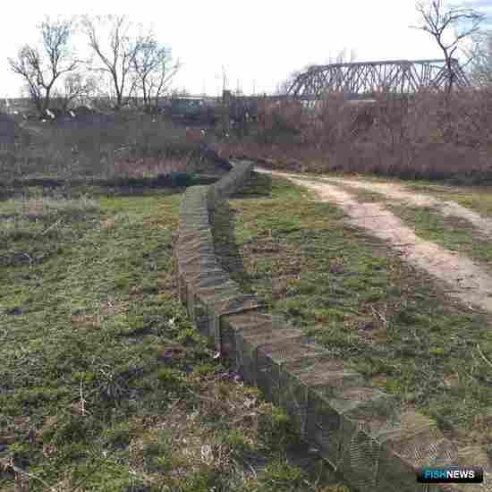 Браконьерская мегаловушка установила рекорд