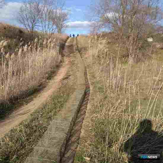 Браконьерская мегаловушка установила рекорд