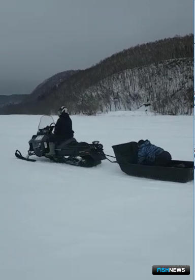 Сахалинские МЧСники пришли на помощь нерпе Сахалинские МЧСники пришли на помощь нерпе