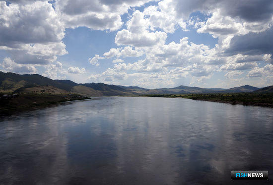 Омулевый браконьер &laquo;поймал&raquo; судимость на Селенге