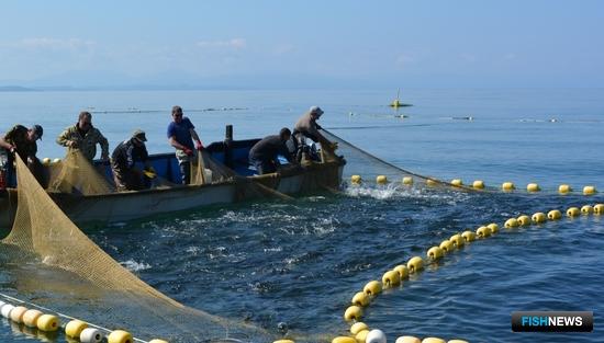 Проходные дни на Сахалине: старые вопросы новой путины Проходные дни на Сахалине: старые вопросы новой путины