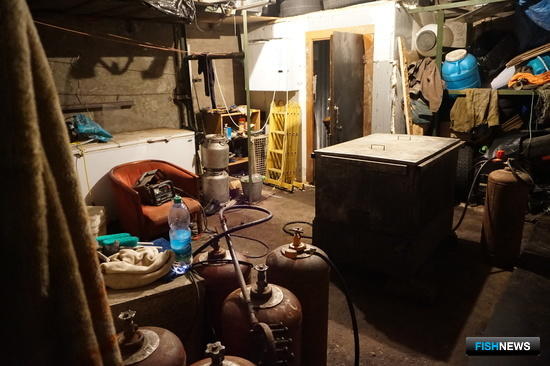 Браконьерские морепродукты не пустили на черный рынок