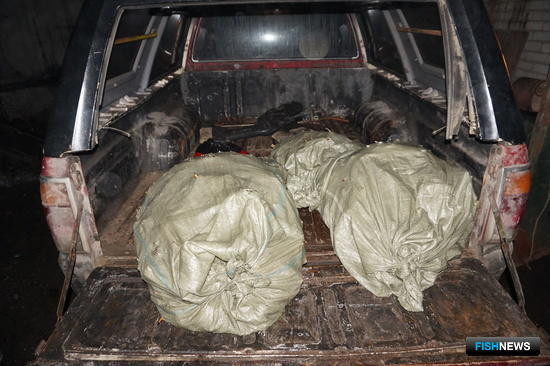 Браконьерские морепродукты не пустили на черный рынок