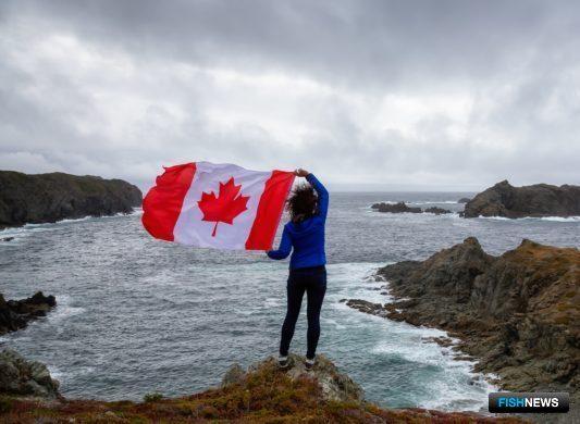 Рыбопромышленникам Канады помогут покрыть &laquo;вирусные&raquo; убытки