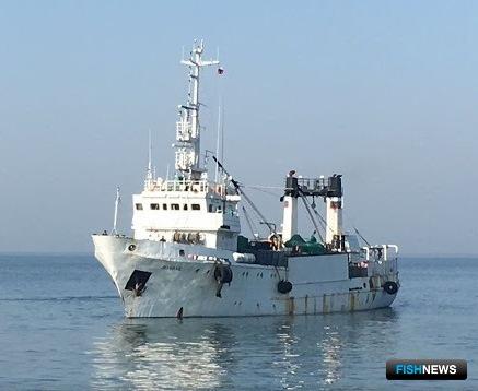 Запасы минтая и крабов проверит научная экспедиция Запасы минтая и крабов проверит научная экспедиция