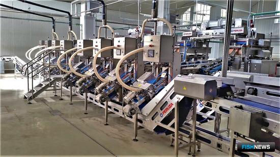 Решения для рыбопереработки предложат на питерской выставке