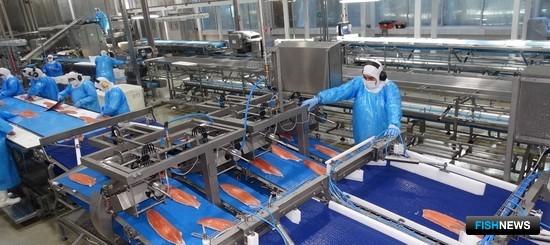 Решения для рыбопереработки предложат на питерской выставке