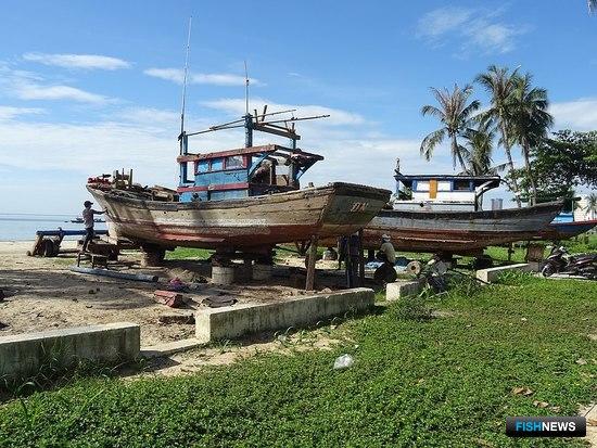 ЕС оценит борьбу Вьетнама с браконьерством ЕС оценит борьбу Вьетнама с браконьерством