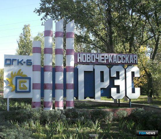 Энергетики поплатились за пренебрежение интересами рыбы Энергетики поплатились за пренебрежение интересами рыбы