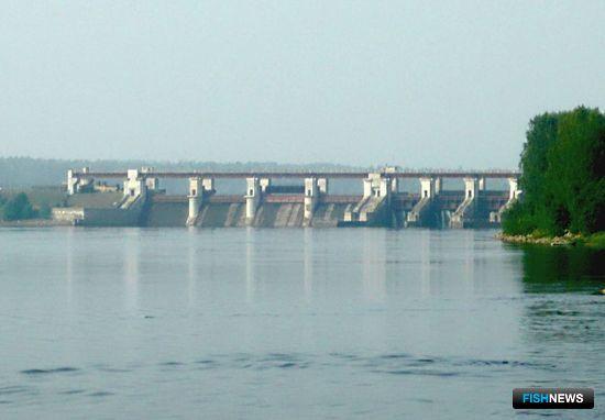 Акватории Ленобласти приготовили рыбоводам Акватории Ленобласти приготовили рыбоводам