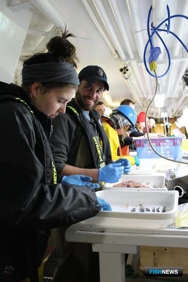 Ученые собрали новый материал по лососям Аляски Ученые собрали новый материал по лососям Аляски