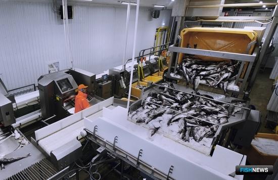 &laquo;Прибрежка&raquo; Северного бассейна снова столкнулась с проблемами