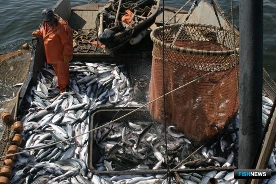 Минсельхоз изменил порядок работы комиссий по анадромным Минсельхоз изменил порядок работы комиссий по анадромным