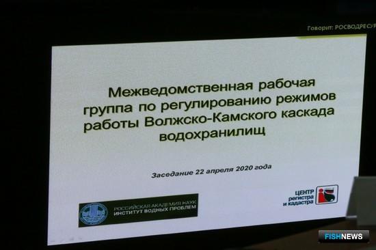 Интересы волжской рыбы учтут при сбросах воды