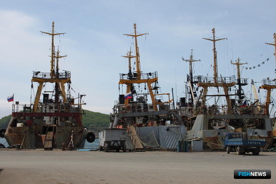 ЦСМС разъясняет нюансы электронной отчетности