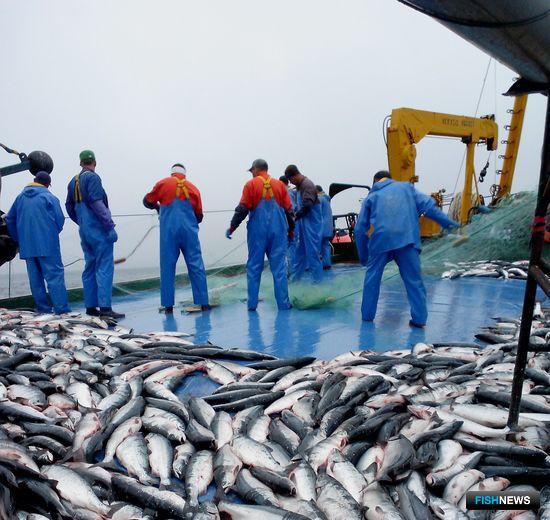 История с запретом дрифтера до сих пор отзывается в судах История с запретом дрифтера до сих пор отзывается в судах