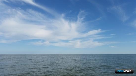 Здоровье азовского пиленгаса проверяют перед нерестом Здоровье азовского пиленгаса проверяют перед нерестом