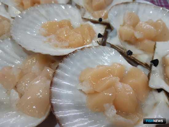 Новые меры для рыбной отрасли Дальнего Востока готовят в указе президента Новые меры для рыбной отрасли Дальнего Востока готовят в указе президента