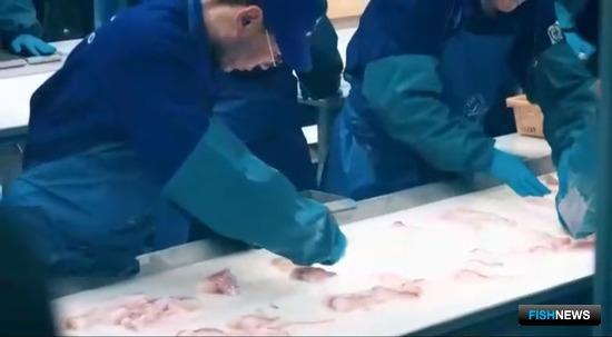 Тонкости законодательства хотят отразить в постановлениях по инвестквотам