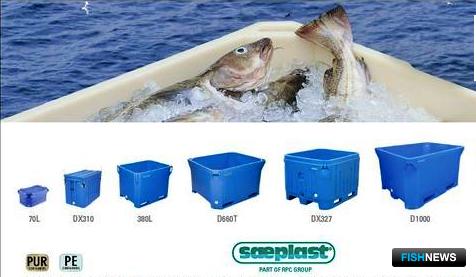 Как лучше &laquo;одеть&raquo; рыбопродукцию &ndash; покажут на Seafood Expo Russia