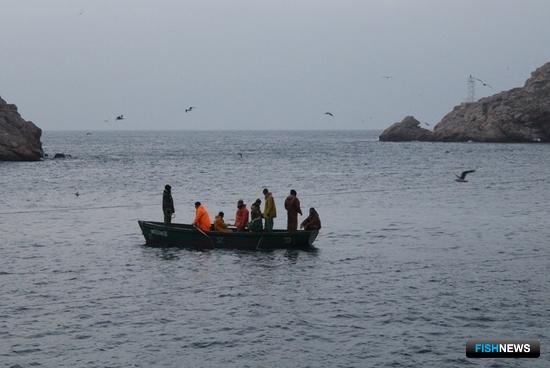 Рыболовству юга России хотят убрать пару барьеров Рыболовству юга России хотят убрать пару барьеров