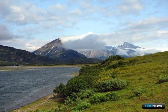 Родословную гольцов древнего озера исследуют ихтиологи Родословную гольцов древнего озера исследуют ихтиологи