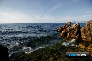 Охраной Байкала займется новая правкомиссия Охраной Байкала займется новая правкомиссия