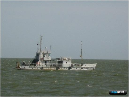 НИСы проверяют ресурсы каспийской сельди