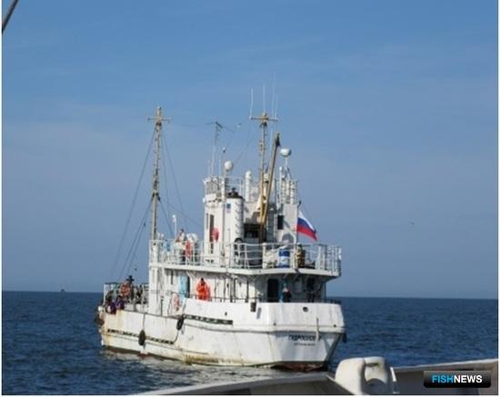 НИСы проверяют ресурсы каспийской сельди