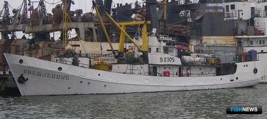 Ученые исследуют перспективы охотской сельди