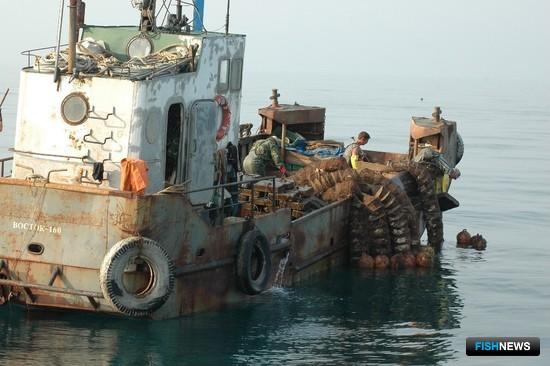 Аквакультурному флоту прокладывают путь к субсидиям