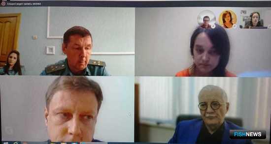 Амурские рыбаки ждут решения по летним лососям