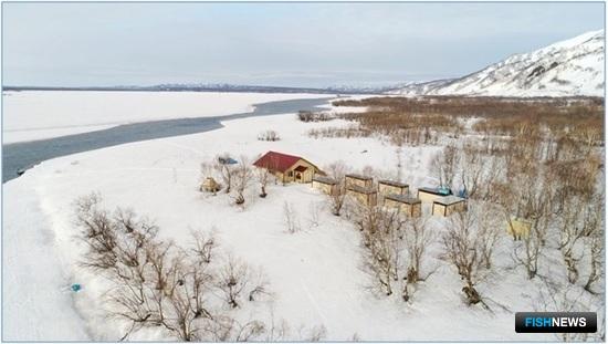 Лосося реки Камчатка встречают ученые Лосося реки Камчатка встречают ученые